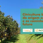 Citricultura brasileira: da origem ao presente e os caminhos para o futuro