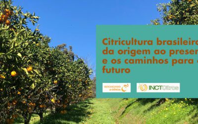 Citricultura brasileira: da origem ao presente e os caminhos para o futuro